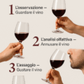🍷 Come degustare un vino come un sommelier