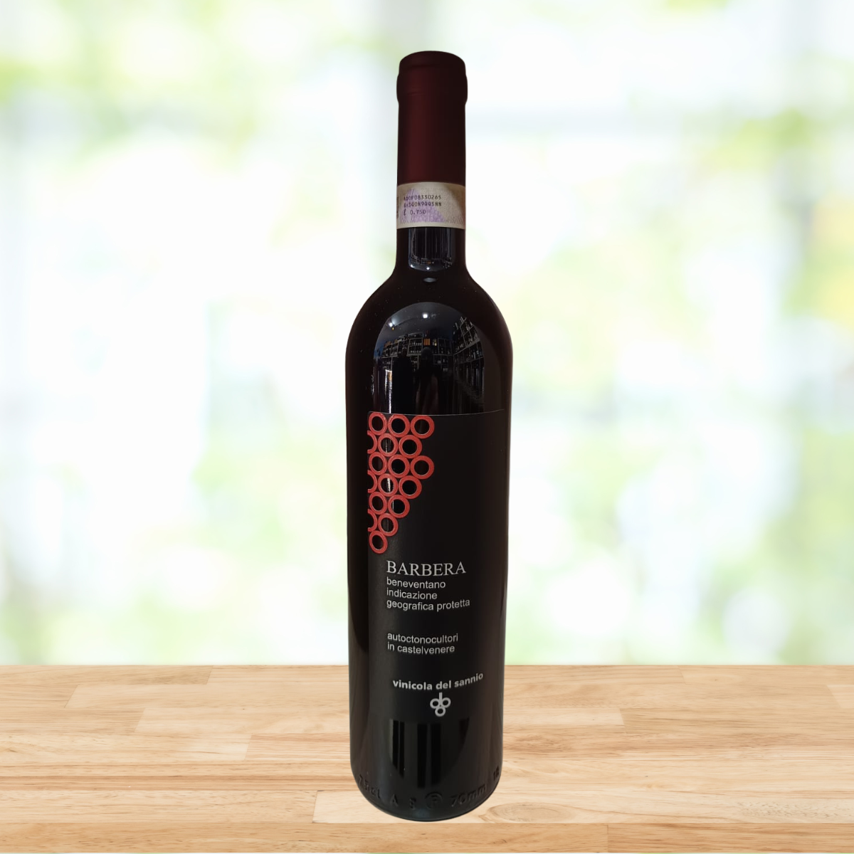 Vino Barbera Vinicola del Sannio