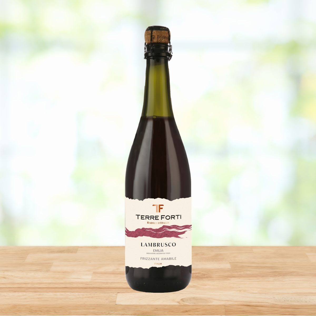 Bottiglia di Lambrusco Emilia IGT Frizzante Amabile Terre Forti